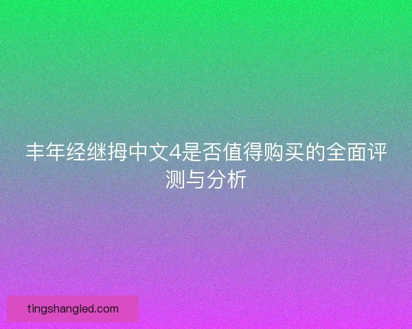 丰年经继拇中文4是否值得购买的全面评测与分析