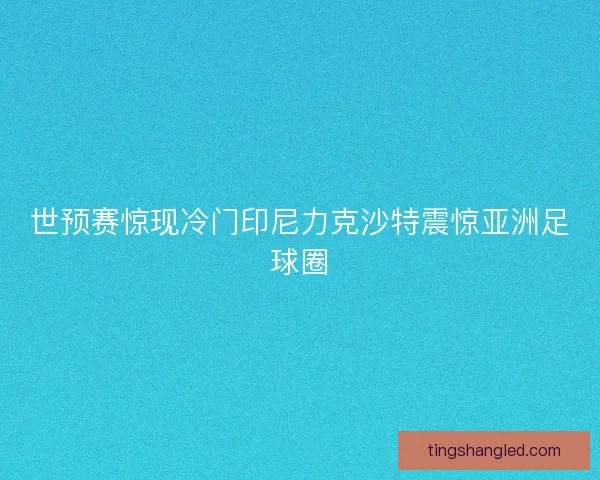 世预赛惊现冷门印尼力克沙特震惊亚洲足球圈