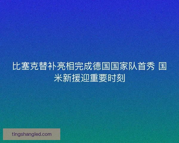 比塞克替补亮相完成德国国家队首秀 国米新援迎重要时刻