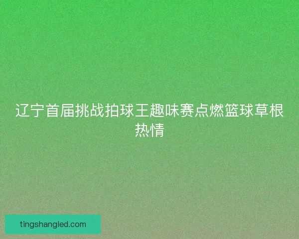 辽宁首届挑战拍球王趣味赛点燃篮球草根热情