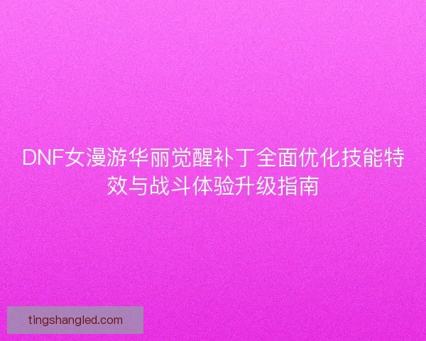 DNF女漫游华丽觉醒补丁全面优化技能特效与战斗体验升级指南