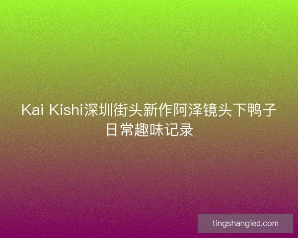 Kai Kishi深圳街头新作阿泽镜头下鸭子日常趣味记录